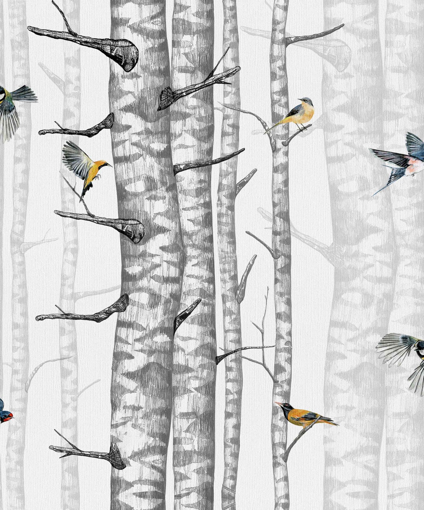 Birch Trees Wallpaper - White/Grey