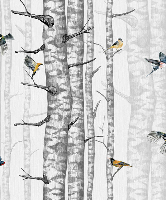 Birch Trees Wallpaper - White/Grey