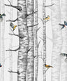Birch Trees Wallpaper - White/Grey
