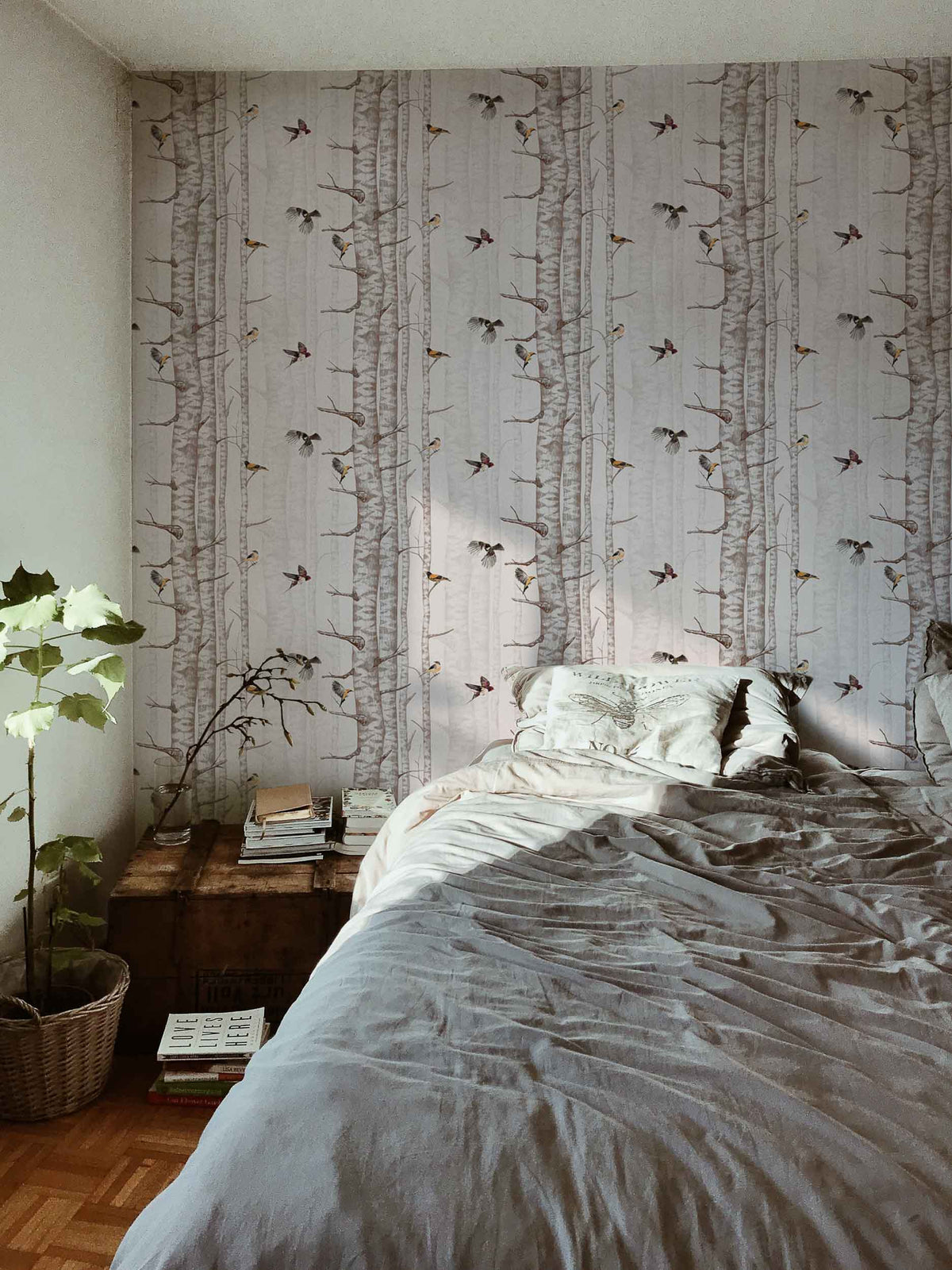 Birch Trees Wallpaper - Faint Pink