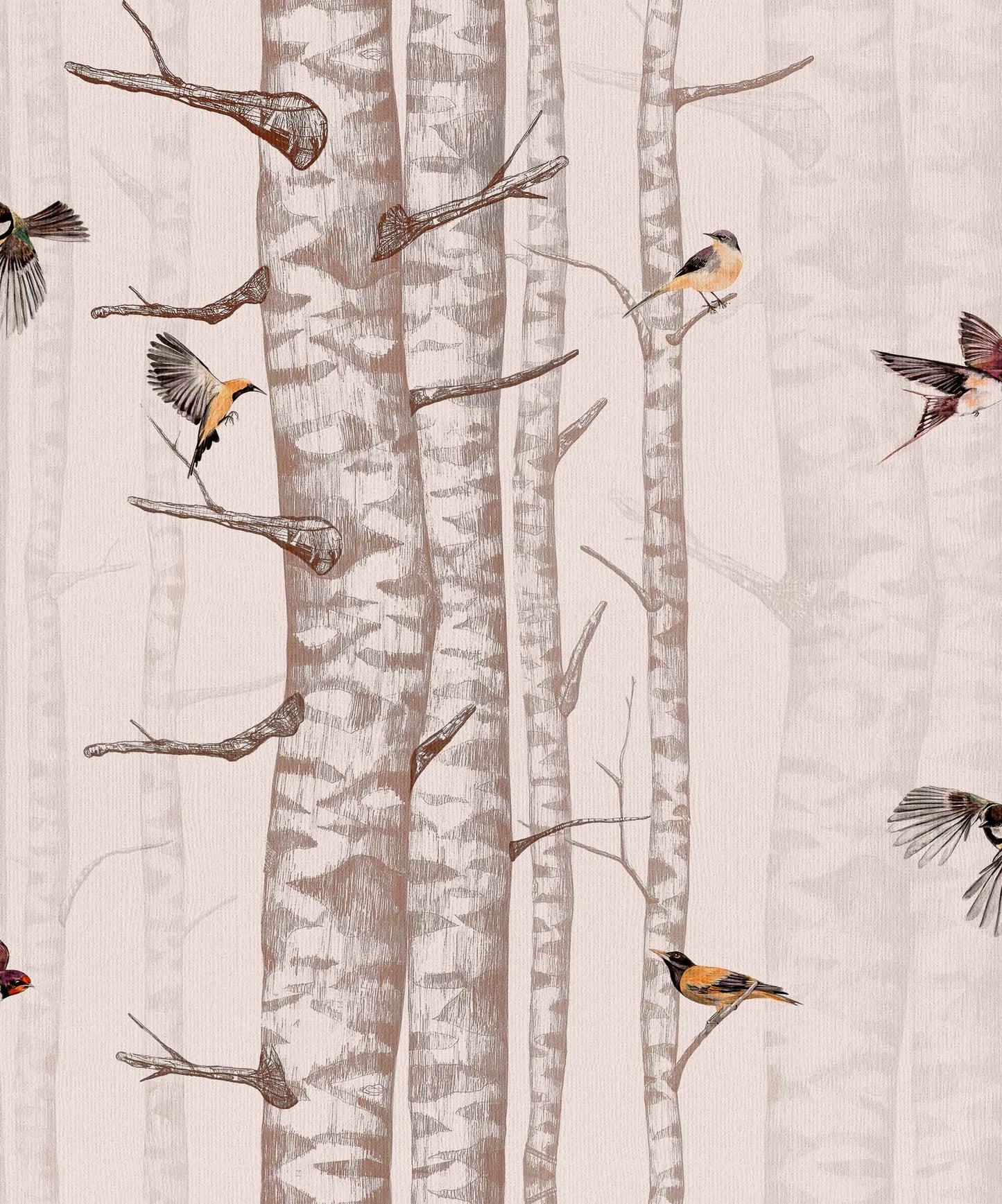 Birch Trees Wallpaper - Faint Pink