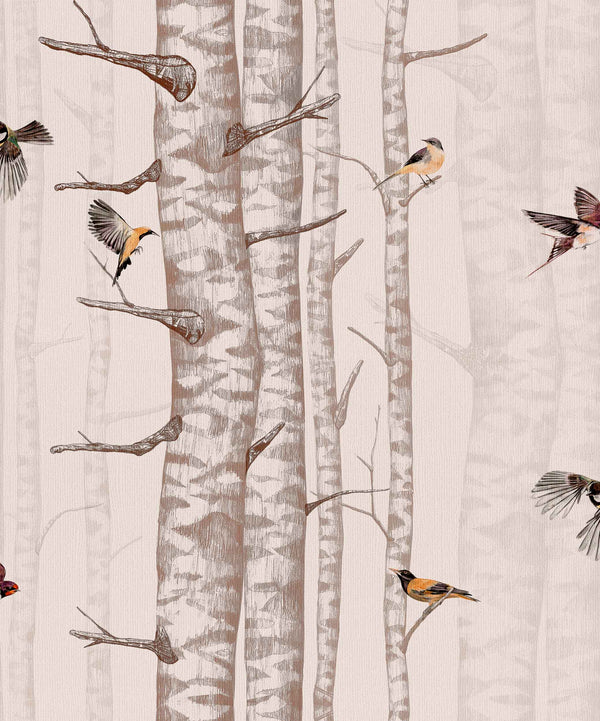 Sample - Birch Trees Wallpaper - Faint Pink