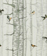 Birch Trees Wallpaper – Silvester