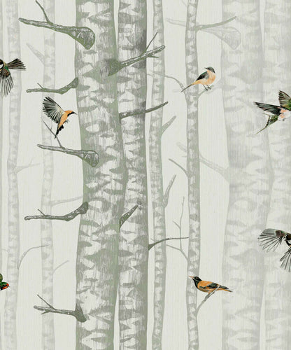 Sample – Birch Trees Wallpaper – Silvester