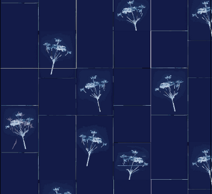 Cyanotype Floral - Prussian Blue - Custom Sized Wallpaper Mural (per m2)