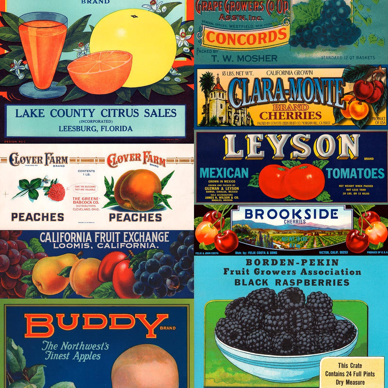 Crate Labels Wallpaper  by Mr & Mrs Vintage Wallpaper - Fruit & Vegetables Crate Labels