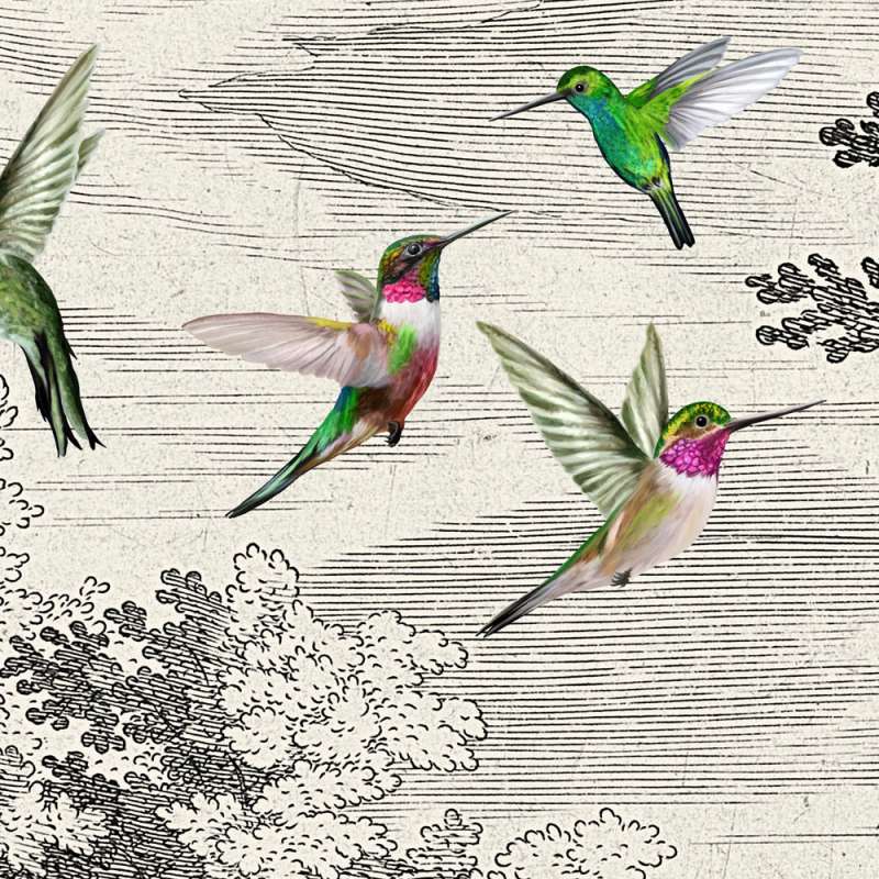 Fancy Forest Birds - Custom Sized Wallpaper Mural (per m2)