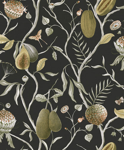 Papaya by Masureel Wallpaper - Kombou