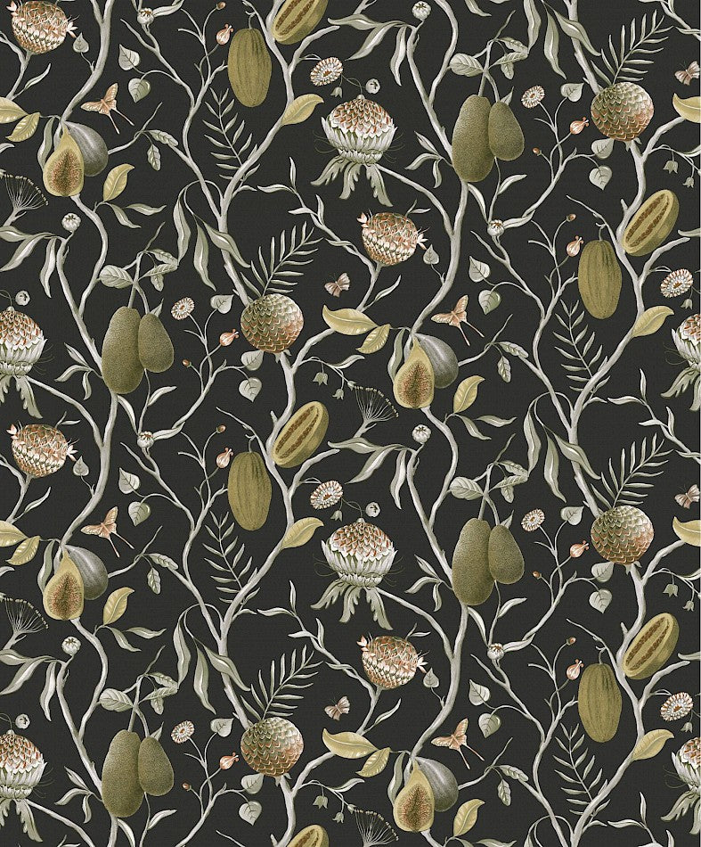 Papaya by Masureel Wallpaper - Kombou