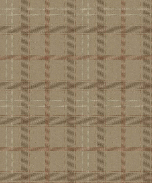 Check It Out Wallpaper -  Brown
