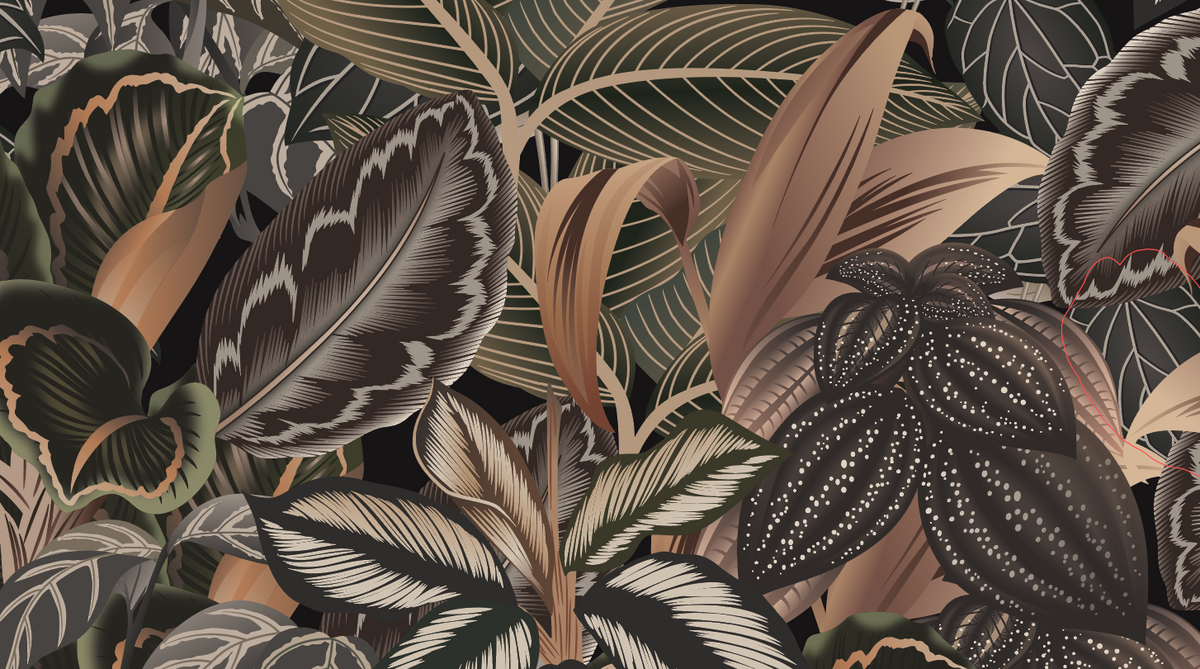 Sample – Prayer Plant - Custom Sized Wallpaper Mural (per m2)