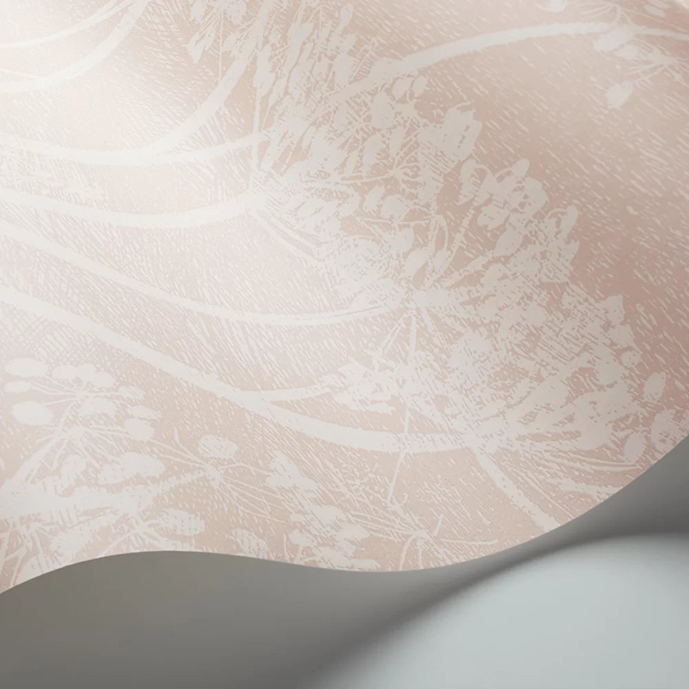 Cow Parsley Wallpaper - Ballet Slipper Pink