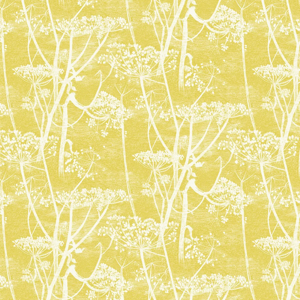 Cow Parsley Wallpaper - Yellow Citrus