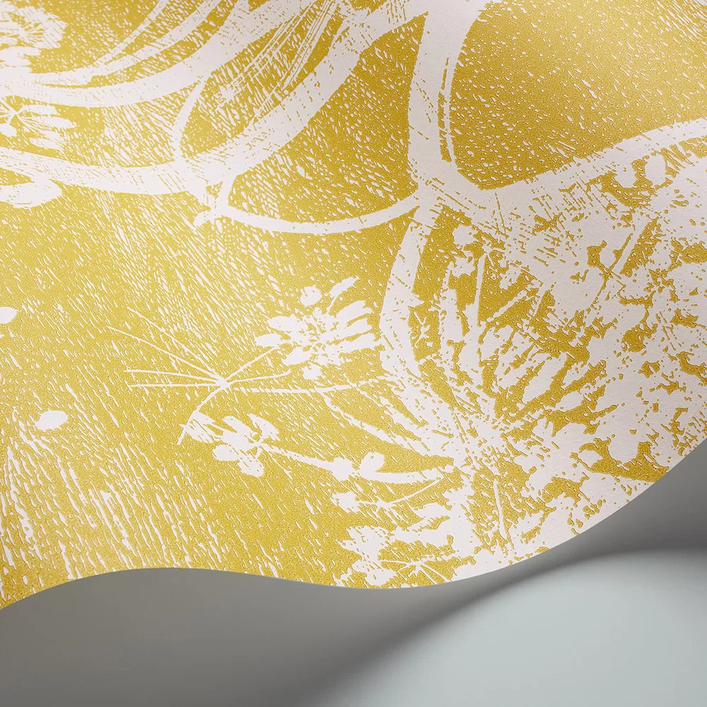 Cow Parsley Wallpaper - Yellow Citrus