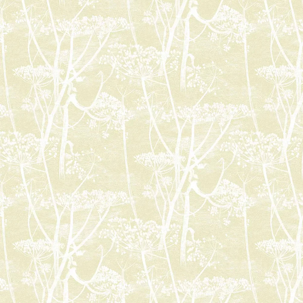 Sample - Cow Parsley Wallpaper - Straw on White