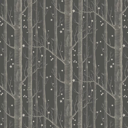 Woods and Stars Wallpaper - Charcoal