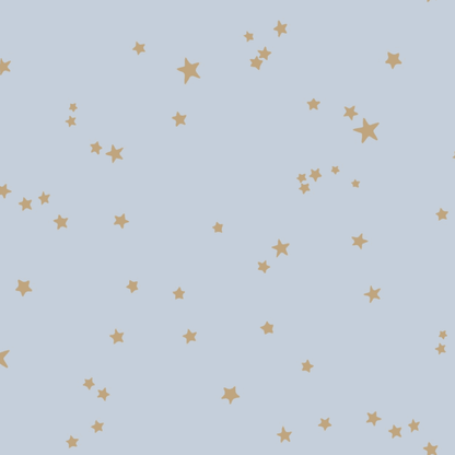 Stars Wallpaper - Cole and Sons - Powder Blue