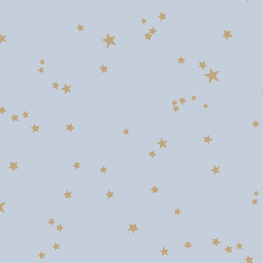 Stars Wallpaper - Cole and Sons - Powder Blue