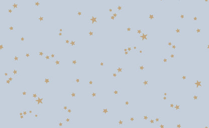 Stars Wallpaper - Cole and Sons - Powder Blue