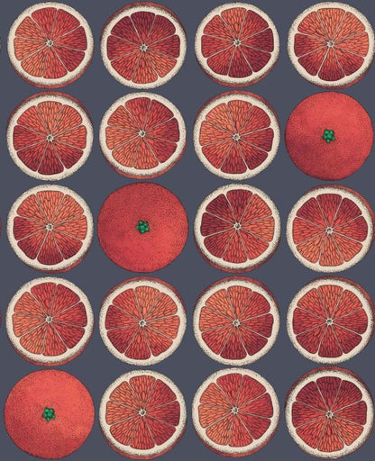 Arance Citrus Wallpaper - Blood Orange