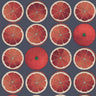 Arance Citrus Wallpaper - Blood Orange