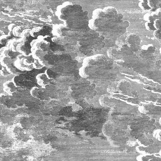 Nuvolette Wallpaper (2-Roll Set) - Cole & Son - Black/White A+B Rolls
