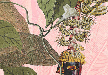 Plantation - Custom Sized Wallpaper Mural (per m2)