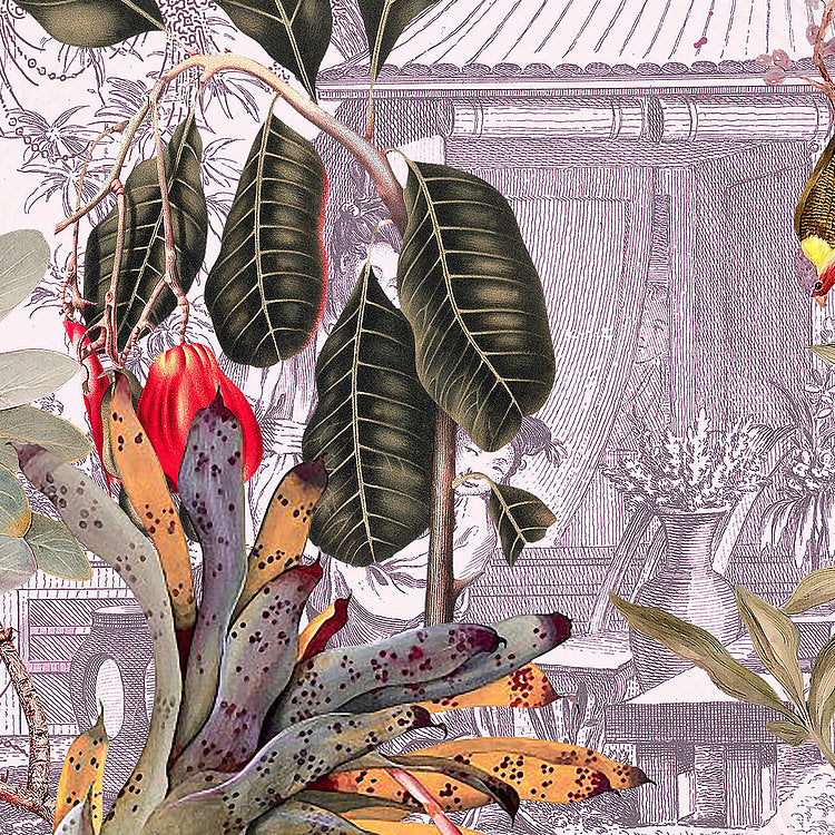 Tropicana - Custom Sized Wallpaper Mural (per m2)