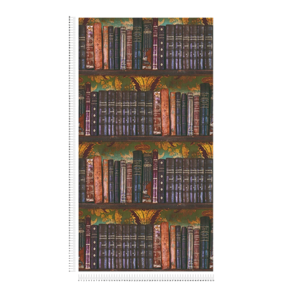 Library Bookshelf Vinyl Wallpaper – Multi