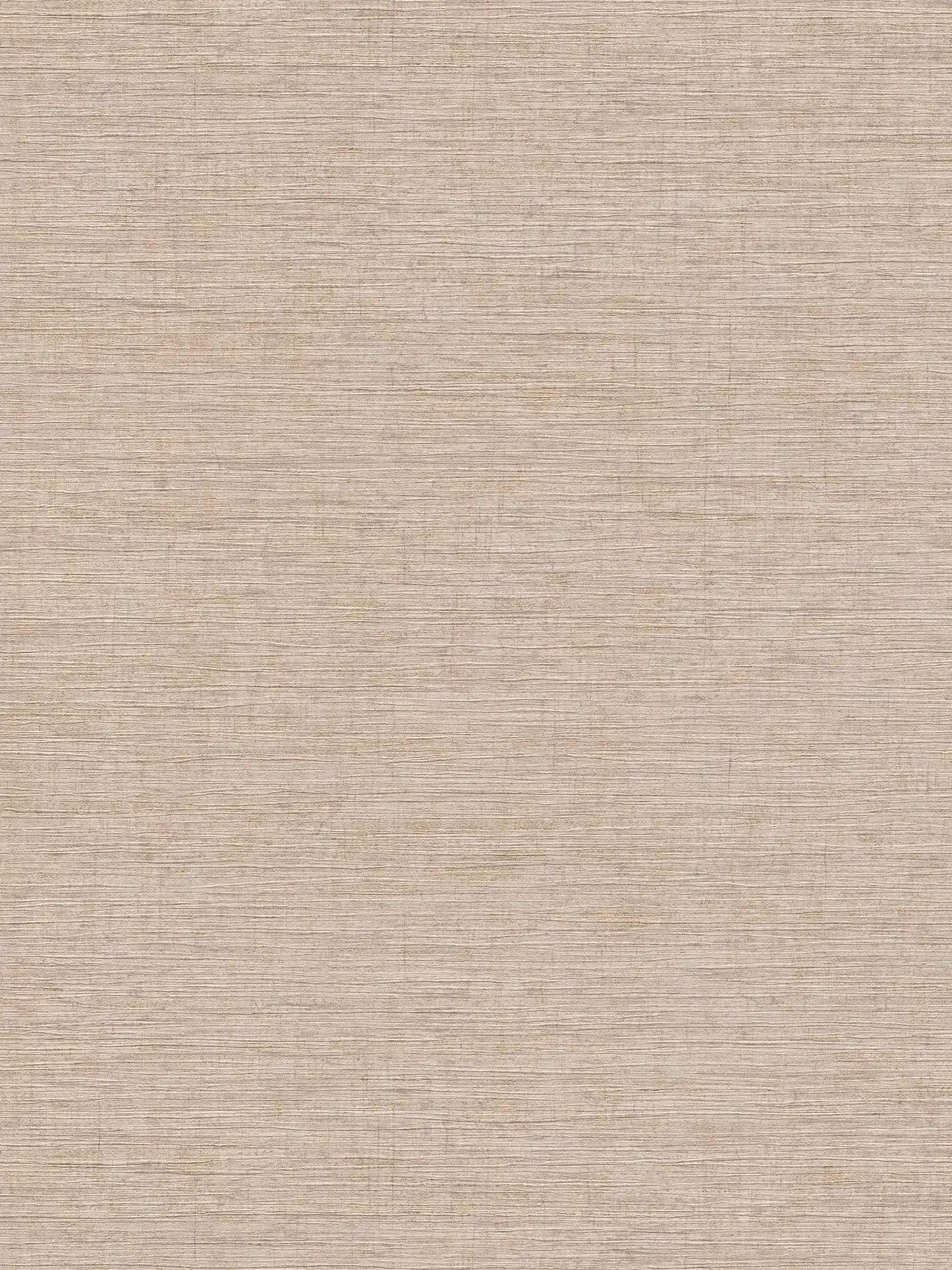 Tokyo Mio Coordinates Wallpaper  - Beige/Metallic
