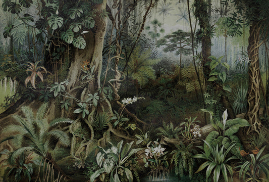 Jungle - Custom Sized Wallpaper Mural (per m2) - Green