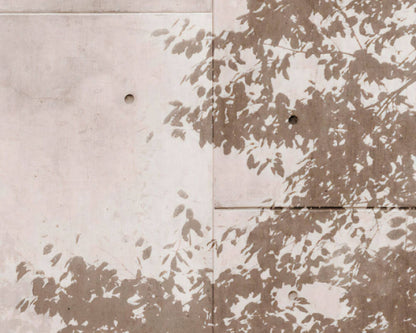 Enigmatic Foggy Forest - Custom Sized Wallpaper Mural (per m2)