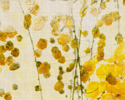 Sunlit Blooms - Custom Sized Wallpaper Mural (per m2)