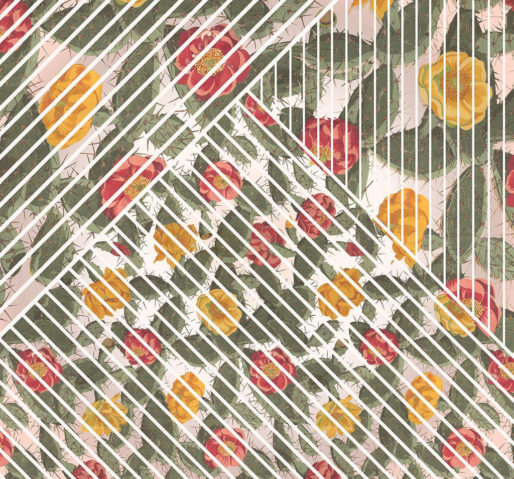 Sample – Prismatic Cactus - Custom Sized Wallpaper Mural (per m2)