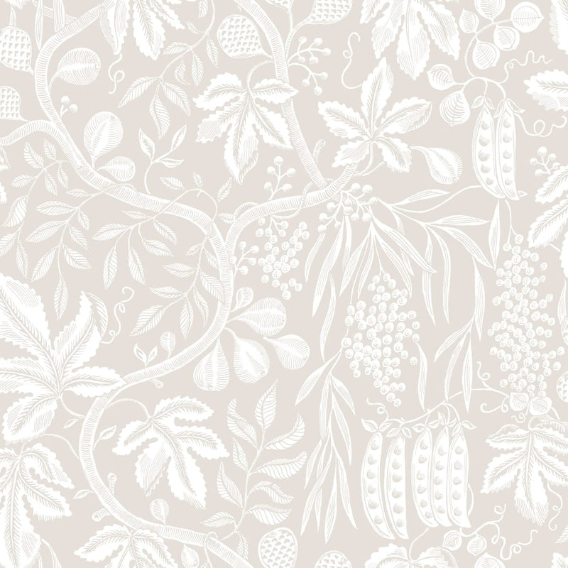 Fig Garden Wallpaper - Charcoal