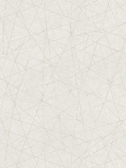 Linear Web - Geometric Wallpaper - White