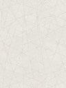 Linear Web - Geometric Wallpaper - White