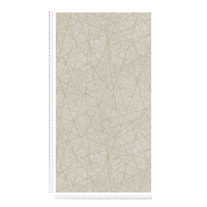 Linear Web - Geometric Wallpaper - Pearl