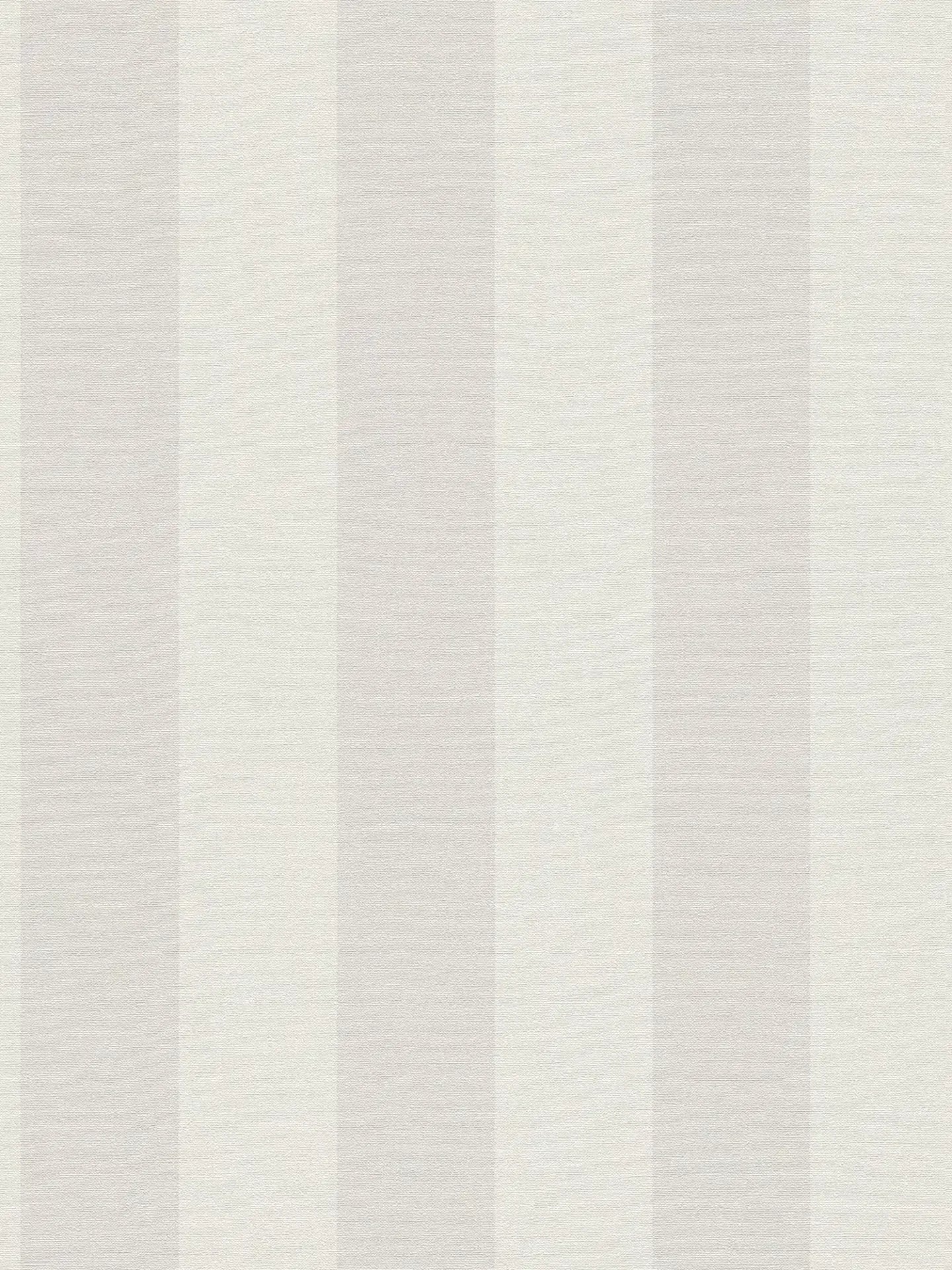 Bold Bands - Stripe Wallpaper - Ash