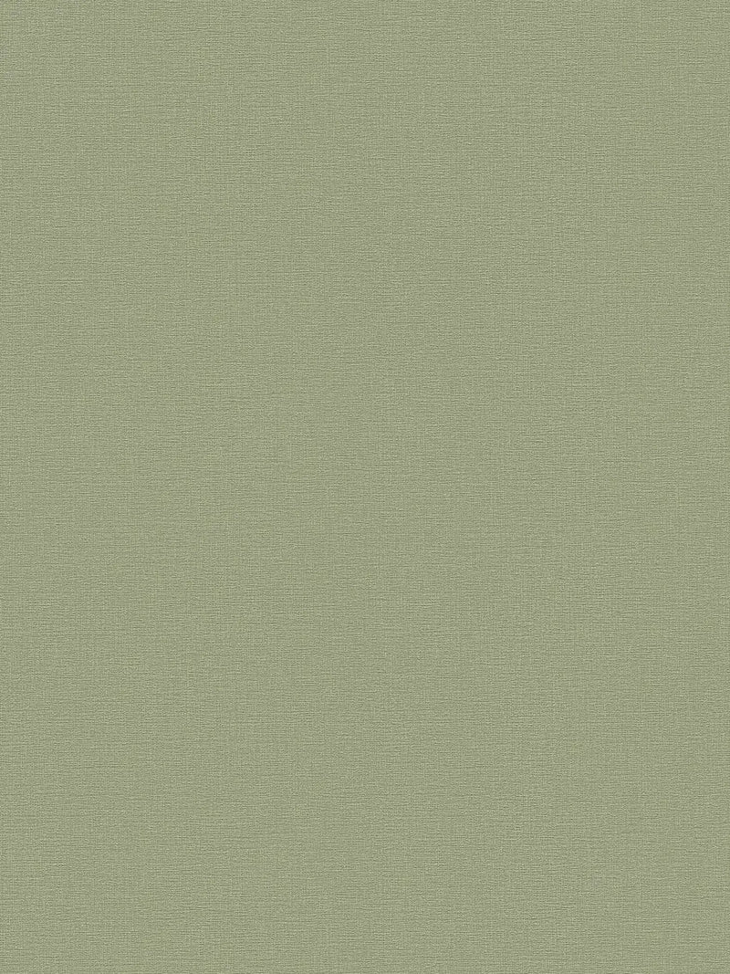 Sample - Greenery Plain Coordinates - Green-1