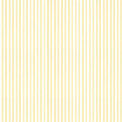 Closet Stripes Wallpaper - Pale Yellow/White