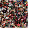 Flowerbomb Velvet - Fabric - Scarlett