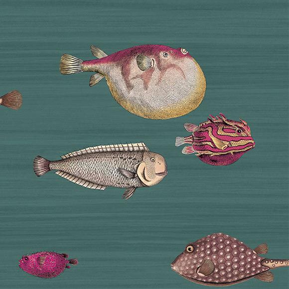 Acquario Fish Wallpaper - Dark Viridian