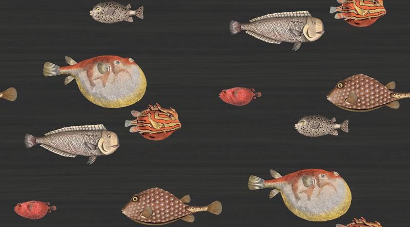 Acquario Fish Wallpaper - Charcoal