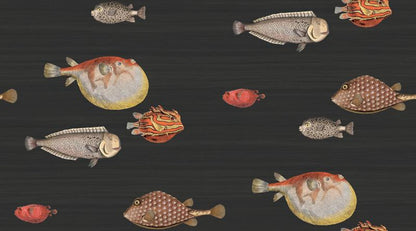 Acquario Fish Wallpaper - Charcoal