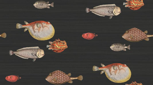 Acquario Fish Wallpaper - Charcoal