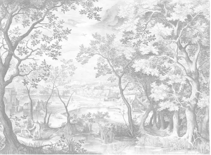 European Forest Wallpaper Online NZ The Inside