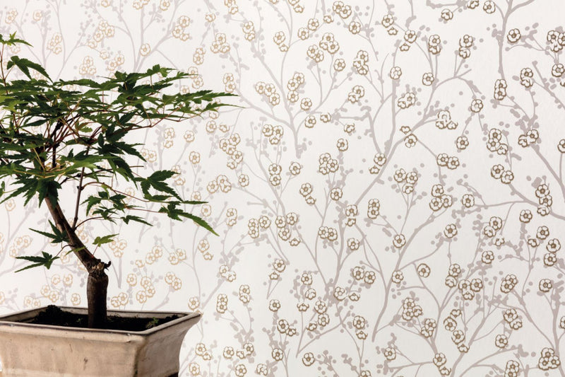 Hanami Sakura Wallpaper  - 4 Colours - Discontinuing