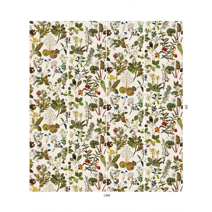 Herbarium Hybrid Mural Wallpaper - House of Hackney - Ecru