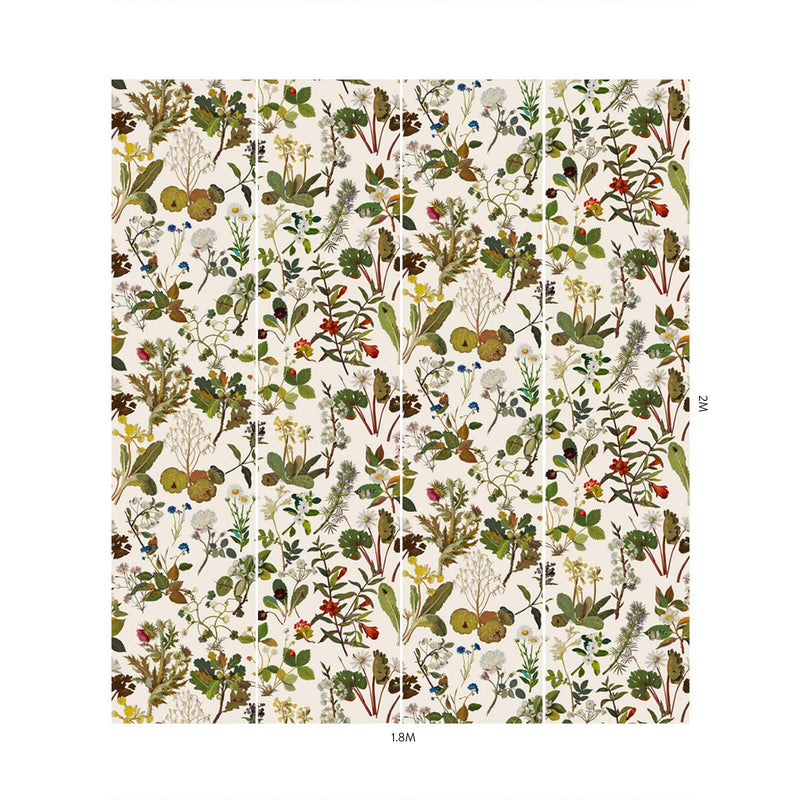 Herbarium Hybrid Mural Wallpaper - House of Hackney - Ecru